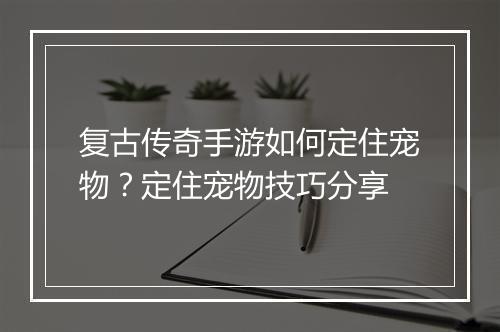 复古传奇手游如何定住宠物？定住宠物技巧分享