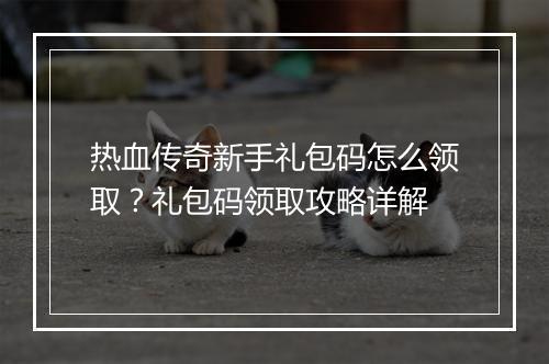 热血传奇新手礼包码怎么领取？礼包码领取攻略详解
