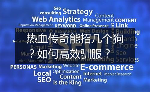 热血传奇能招几个狗？如何高效驯服？