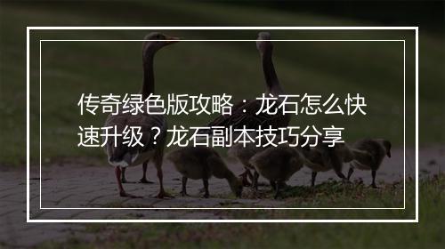 传奇绿色版攻略：龙石怎么快速升级？龙石副本技巧分享