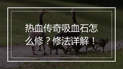 热血传奇吸血石怎么修?修法详解!