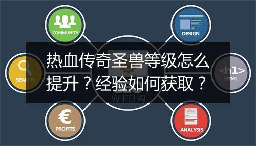 热血传奇圣兽等级怎么提升？经验如何获取？