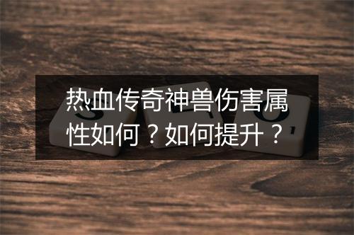 热血传奇神兽伤害属性如何？如何提升？