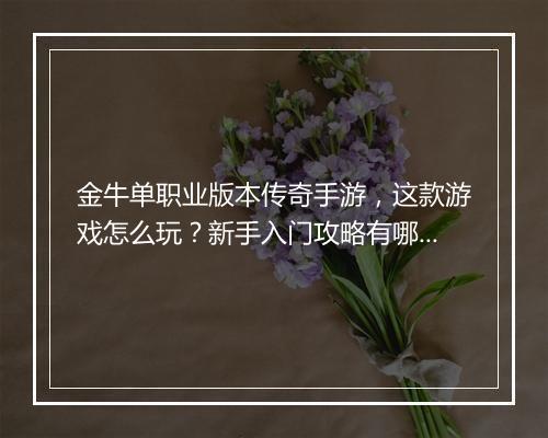 金牛单职业版本传奇手游，这款游戏怎么玩？新手入门攻略有哪些？