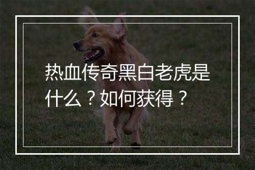 热血传奇黑白老虎是什么？如何获得？