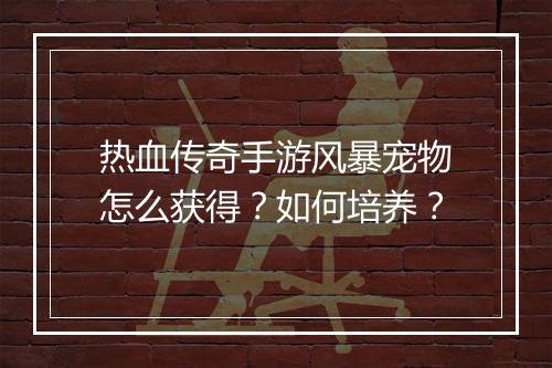 热血传奇手游风暴宠物怎么获得？如何培养？