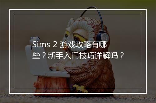 Sims 2 游戏攻略有哪些？新手入门技巧详解吗？