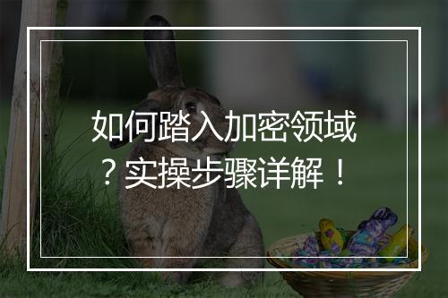 如何踏入加密领域？实操步骤详解！