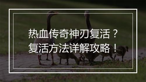 热血传奇神刃复活？复活方法详解攻略！