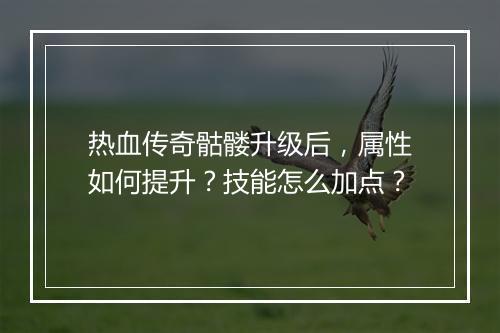 热血传奇骷髅升级后，属性如何提升？技能怎么加点？