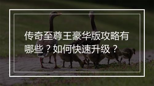 传奇至尊王豪华版攻略有哪些？如何快速升级？