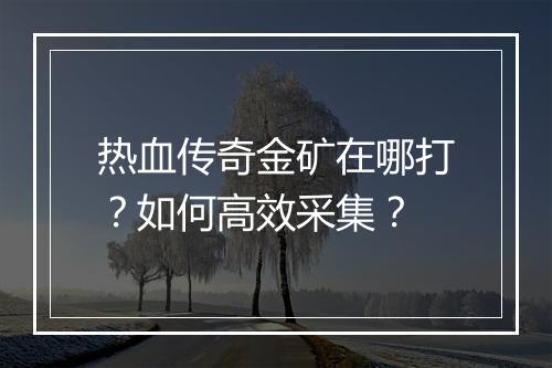 热血传奇金矿在哪打？如何高效采集？