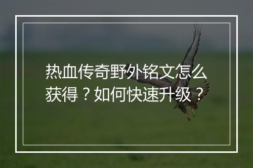 热血传奇野外铭文怎么获得？如何快速升级？