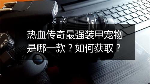 热血传奇最强装甲宠物是哪一款？如何获取？