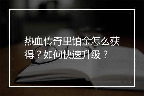 热血传奇里铂金怎么获得？如何快速升级？