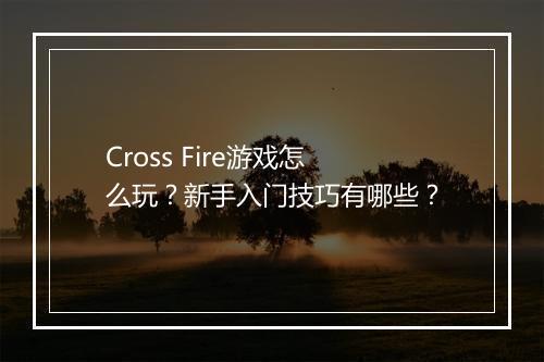 Cross Fire游戏怎么玩？新手入门技巧有哪些？