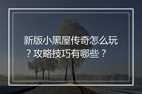 新版小黑屋传奇怎么玩？攻略技巧有哪些？