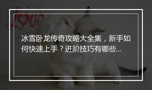 冰雪卧龙传奇攻略大全集，新手如何快速上手？进阶技巧有哪些？