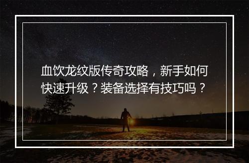 血饮龙纹版传奇攻略，新手如何快速升级？装备选择有技巧吗？
