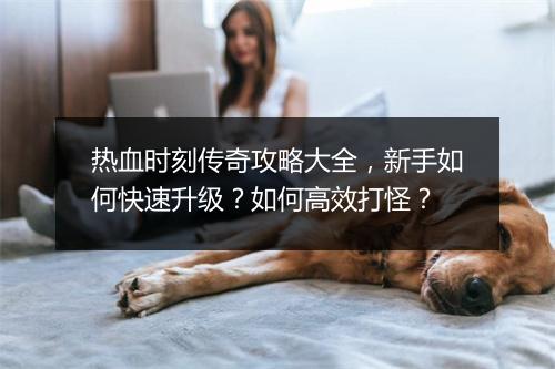 热血时刻传奇攻略大全，新手如何快速升级？如何高效打怪？