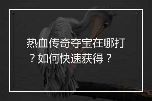 热血传奇夺宝在哪打？如何快速获得？