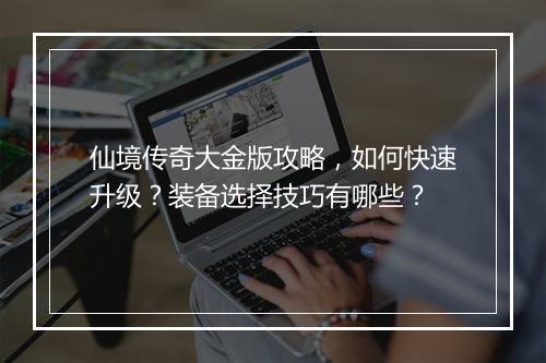 仙境传奇大金版攻略，如何快速升级？装备选择技巧有哪些？