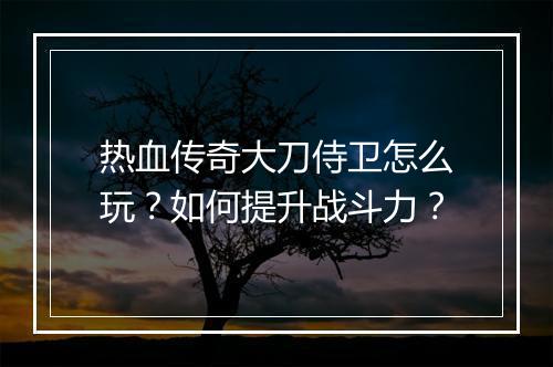 热血传奇大刀侍卫怎么玩？如何提升战斗力？