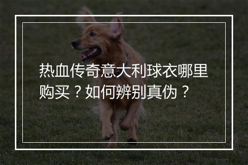 热血传奇意大利球衣哪里购买？如何辨别真伪？