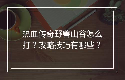 热血传奇野兽山谷怎么打？攻略技巧有哪些？