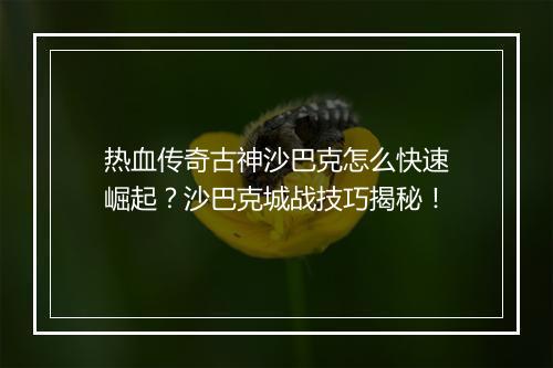 热血传奇古神沙巴克怎么快速崛起？沙巴克城战技巧揭秘！