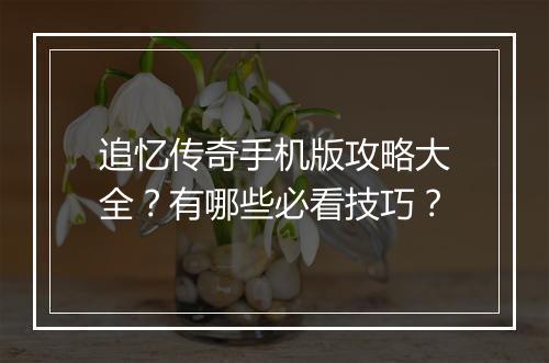 追忆传奇手机版攻略大全？有哪些必看技巧？