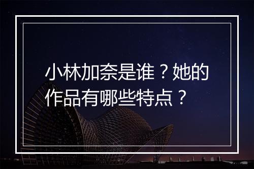 小林加奈是谁？她的作品有哪些特点？