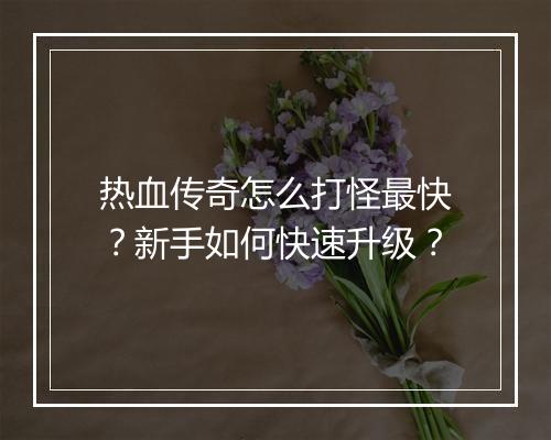 热血传奇怎么打怪最快？新手如何快速升级？