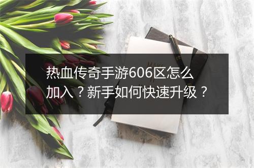 热血传奇手游606区怎么加入？新手如何快速升级？