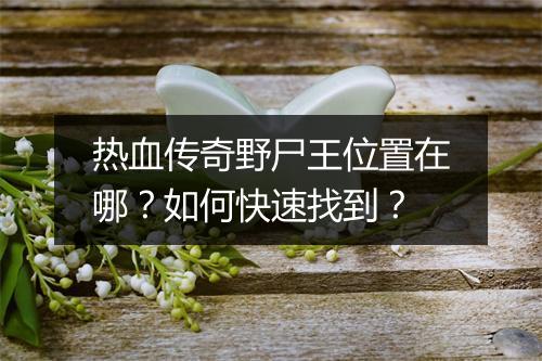 热血传奇野尸王位置在哪？如何快速找到？