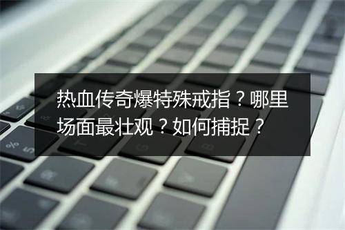 热血传奇爆特殊戒指？哪里场面最壮观？如何捕捉？