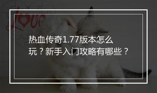 热血传奇1.77版本怎么玩？新手入门攻略有哪些？