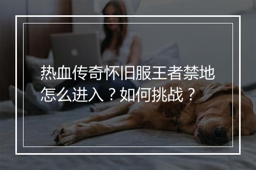 热血传奇怀旧服王者禁地怎么进入？如何挑战？