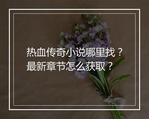 热血传奇小说哪里找？最新章节怎么获取？