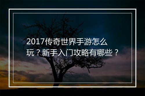 2017传奇世界手游怎么玩？新手入门攻略有哪些？