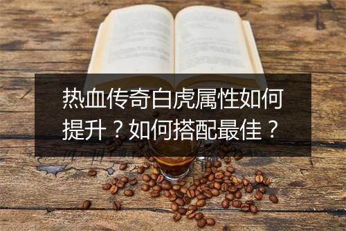 热血传奇白虎属性如何提升？如何搭配最佳？