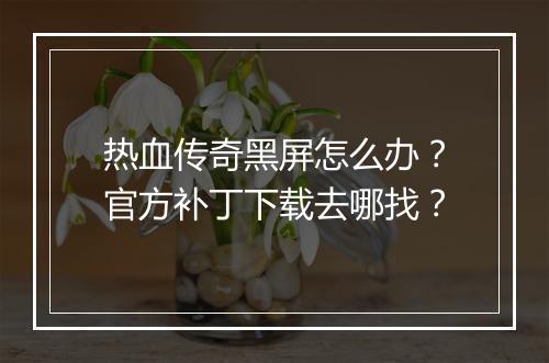 热血传奇黑屏怎么办？官方补丁下载去哪找？