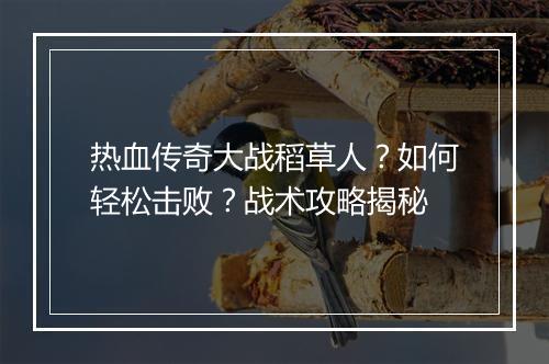 热血传奇大战稻草人？如何轻松击败？战术攻略揭秘
