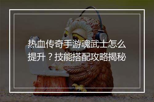 热血传奇手游魂武士怎么提升？技能搭配攻略揭秘