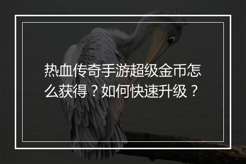 热血传奇手游超级金币怎么获得？如何快速升级？