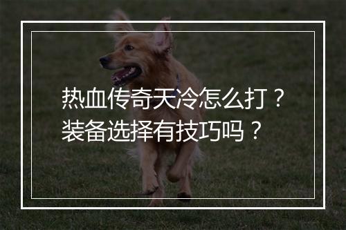 热血传奇天冷怎么打？装备选择有技巧吗？