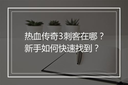 热血传奇3刺客在哪？新手如何快速找到？