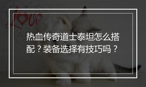 热血传奇道士泰坦怎么搭配？装备选择有技巧吗？