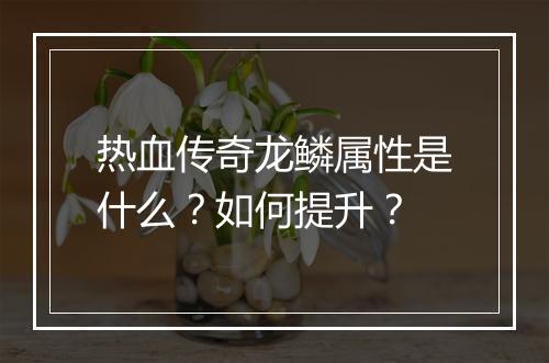 热血传奇龙鳞属性是什么？如何提升？
