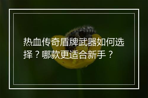 热血传奇盾牌武器如何选择？哪款更适合新手？